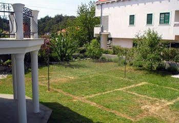 Mandolina * Zadar